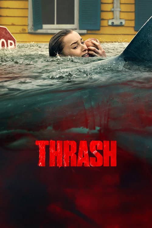 Ani Saldırı izle