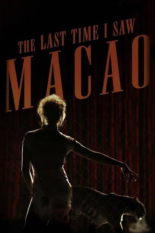 A Última Vez Que Vi Macau izle