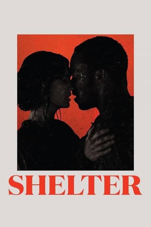Barınak izle