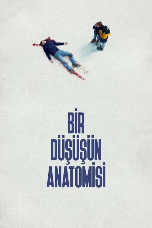Bir Düşüşün Anatomisi izle