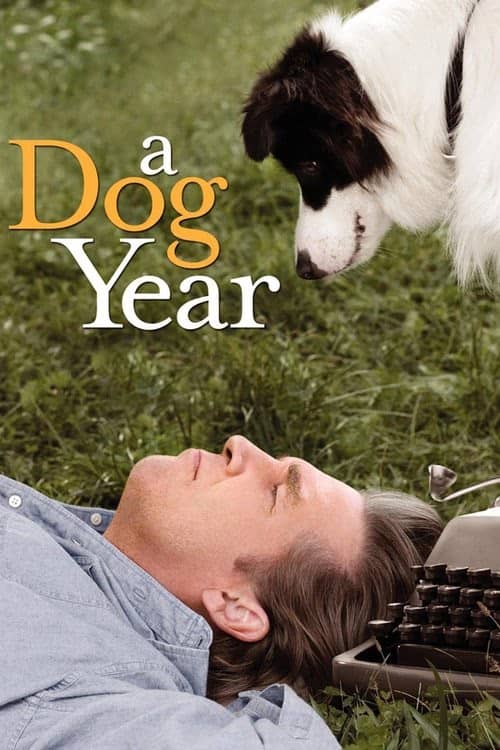 Bir Köpek Yılı izle