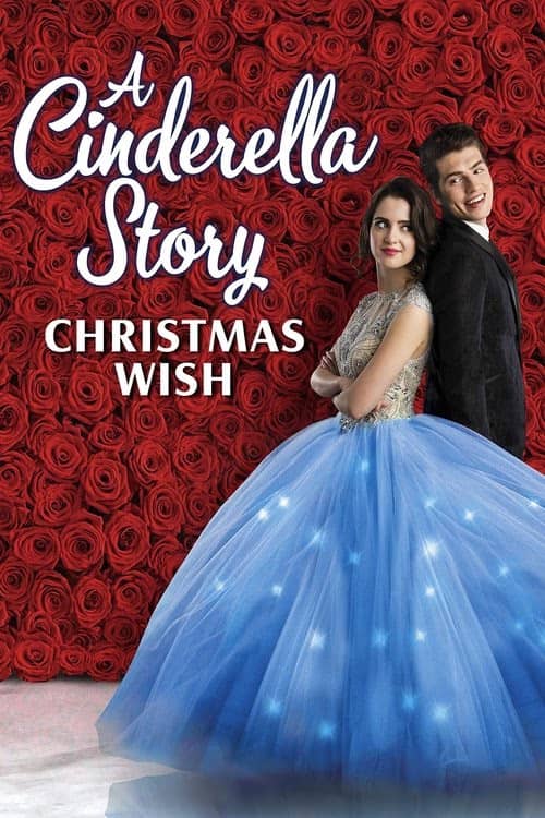 Bir Sindirella Hikâyesi izle
