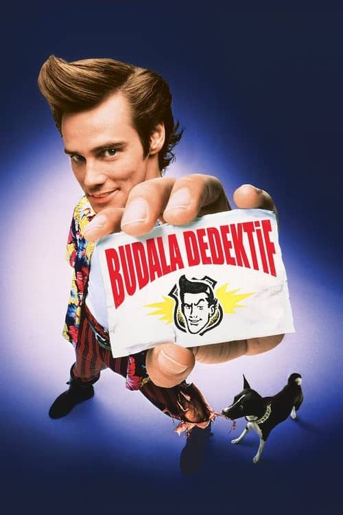 Budala Dedektif izle