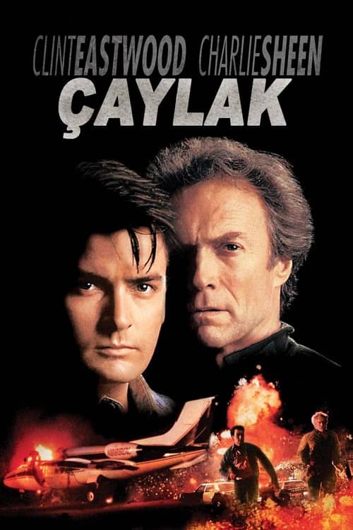 Çaylak izle