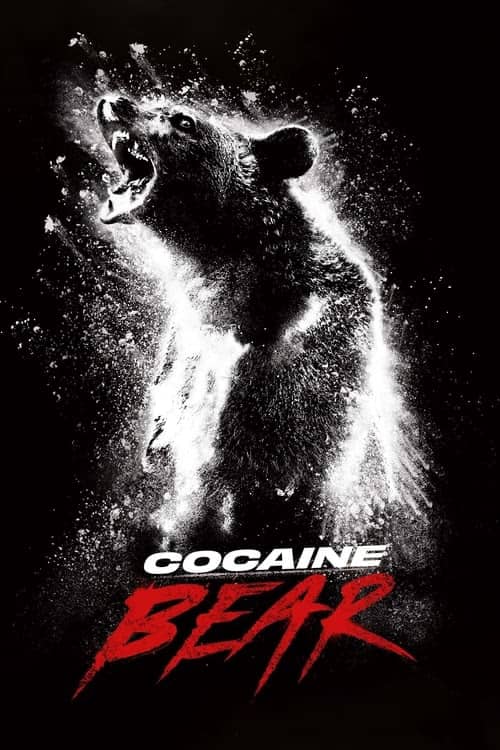 Çıldırmış Ayı izle