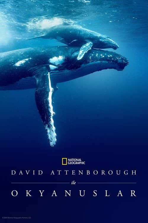 David Attenborough ile Okyanuslar izle