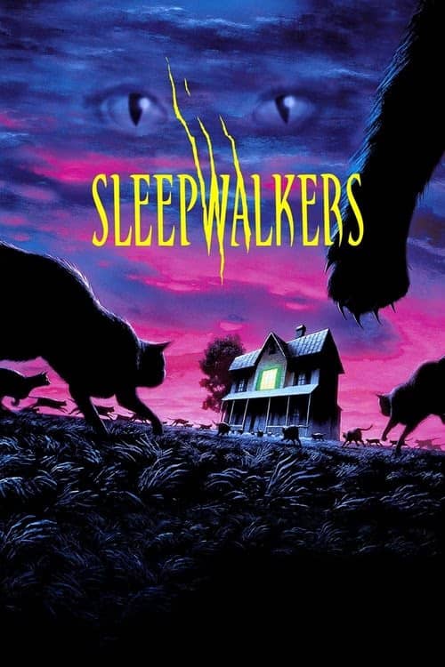Dönüşüm izle