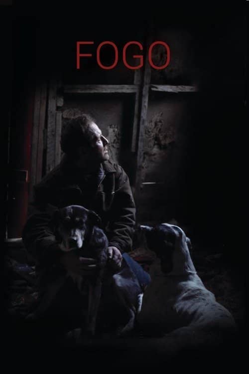 Fogo izle