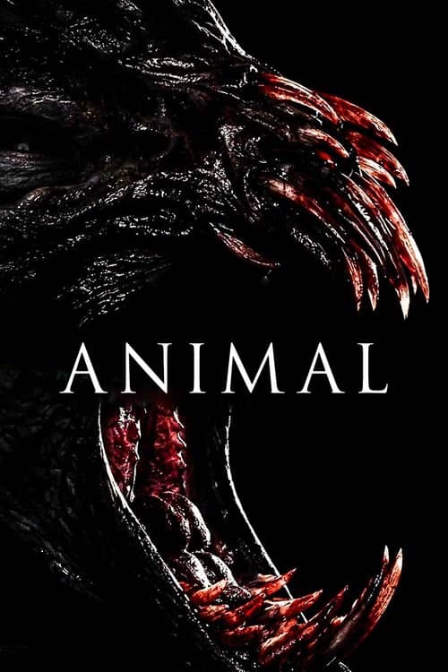 Hayvan izle