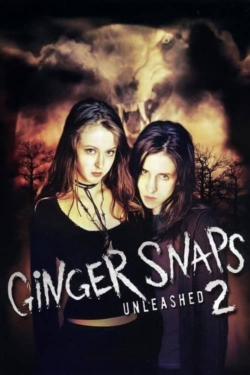 Kurtkızlar Serbest Kaldı izle