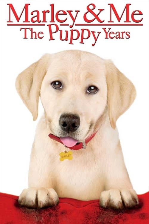 Marley ve Ben Gençlik Yılları izle