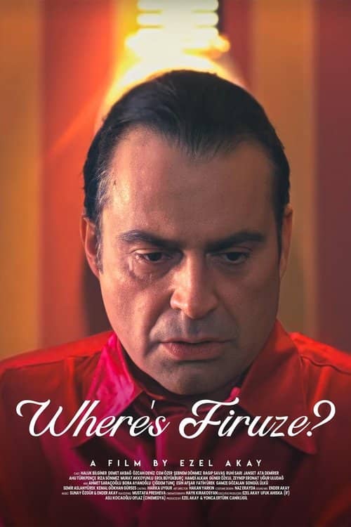 Neredesin Firuze izle