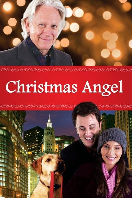 Noel Meleği izle