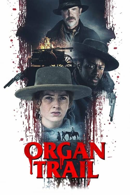 Organ Yolu izle