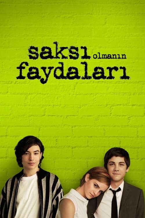 Saksı Olmanın Faydaları izle