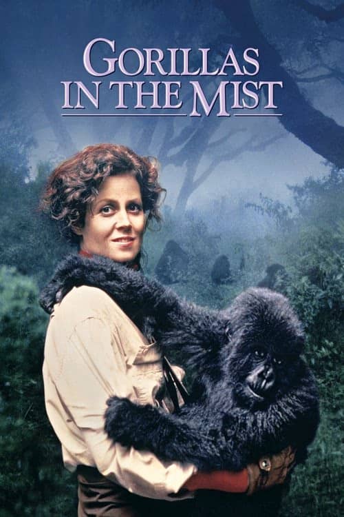 Sisteki Goriller izle