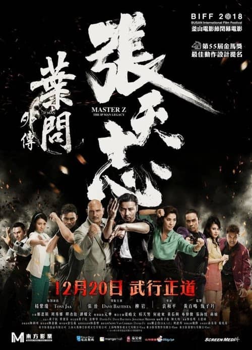 Usta Z: Ip Man'in Mirası izle