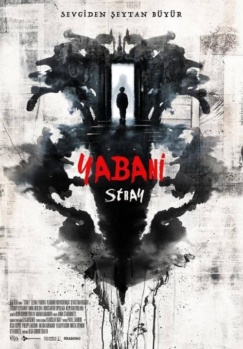 Yabani - Stray izle