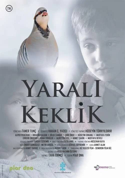 Yaralı Keklik izle