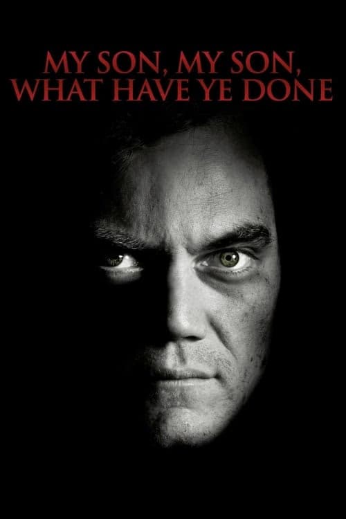 Benim Güzel Oğlum, Ne Yaptın Sen? izle