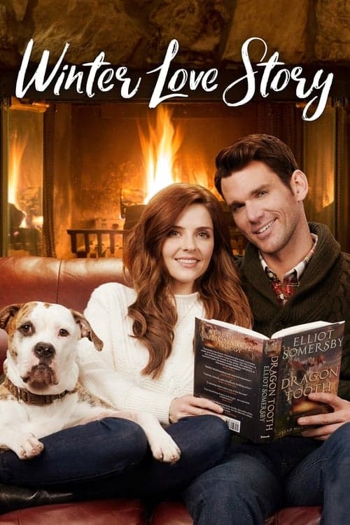 Bir Kış Aşkı izle