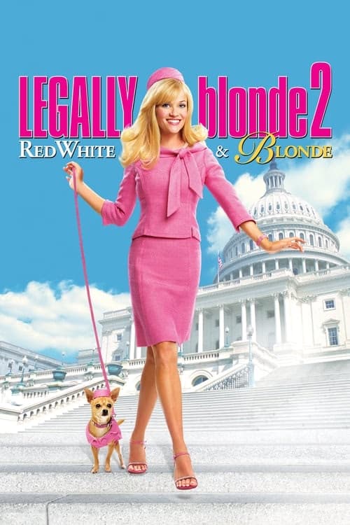 Bu Nasıl Sarışın 2 izle