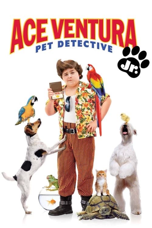 Budala Dedektif 3 izle