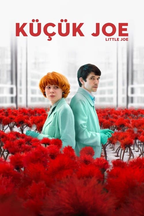 Küçük Joe izle
