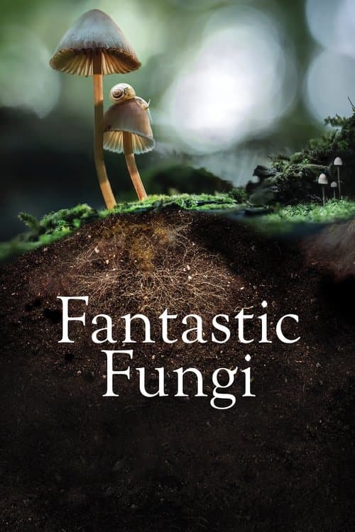 Mantarların Gizemli Dünyası izle