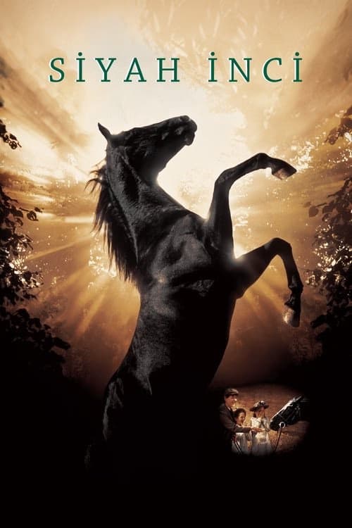 Siyah İnci izle
