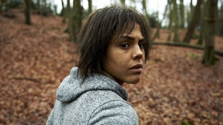 Black Mirror 2. Sezon 2. Bölüm kapak