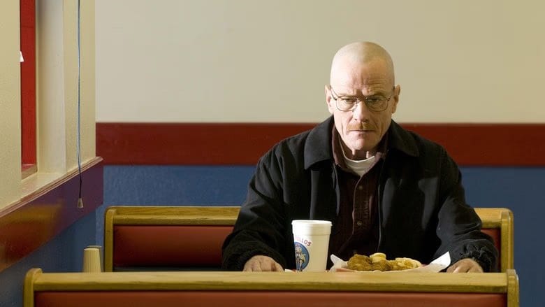 Breaking Bad 2. Sezon 11. Bölüm kapak