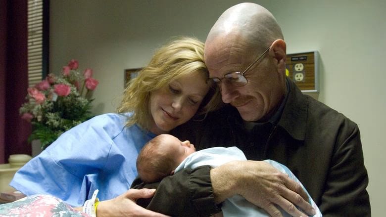 Breaking Bad 2. Sezon 12. Bölüm kapak