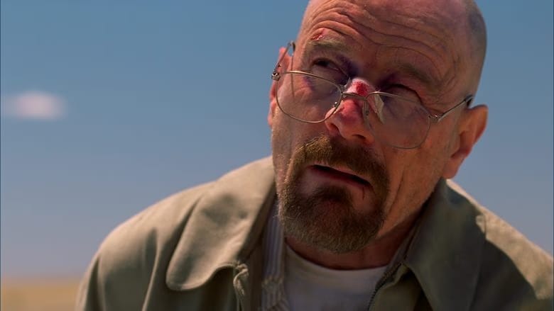 Breaking Bad 4. Sezon 11. Bölüm kapak
