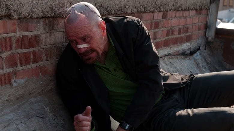 Breaking Bad 4. Sezon 12. Bölüm kapak