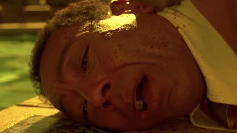 Breaking Bad 4. Sezon 8. Bölüm kapak