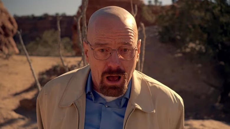 Breaking Bad 5. Sezon 14. Bölüm kapak