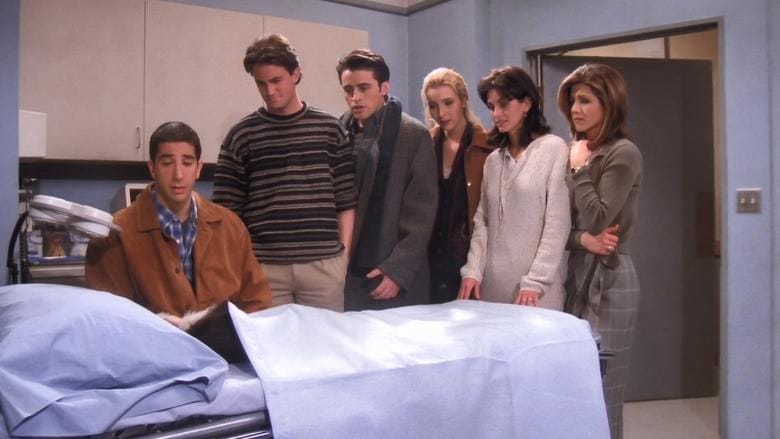 Friends 1. Sezon 17. Bölüm kapak