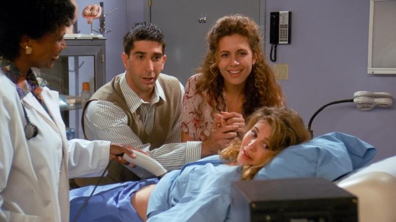 Friends 1. Sezon 2. Bölüm kapak