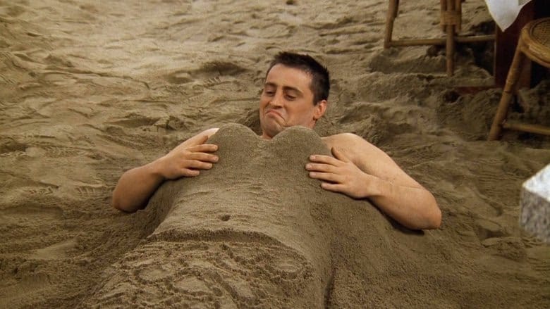 Friends 3. Sezon 25. Bölüm kapak