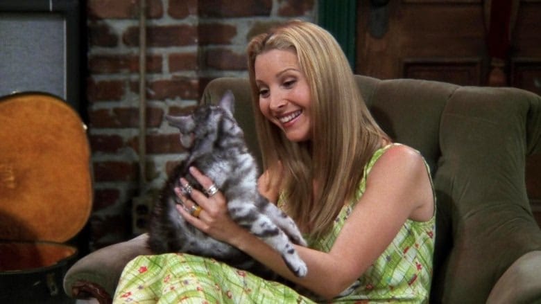 Friends 4. Sezon 2. Bölüm kapak