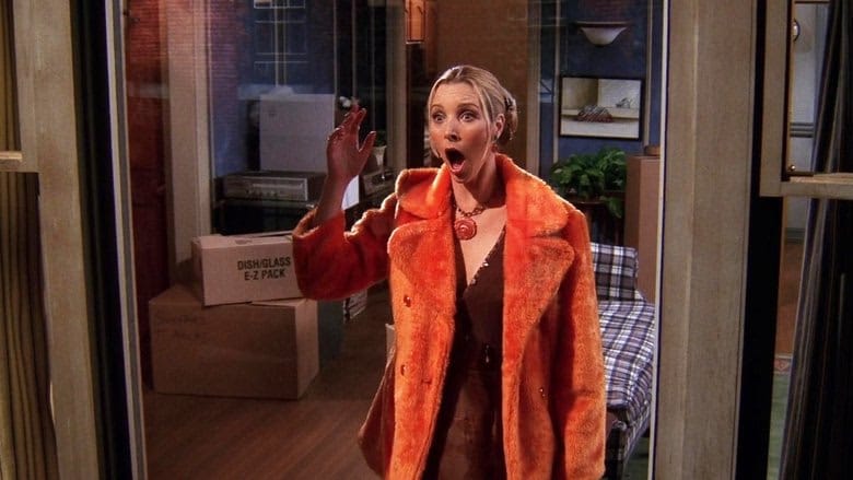 Friends 5. Sezon 14. Bölüm kapak