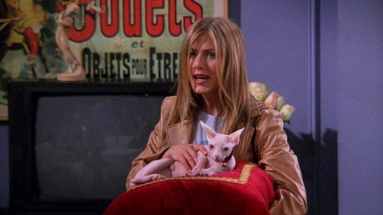 Friends 5. Sezon 21. Bölüm kapak