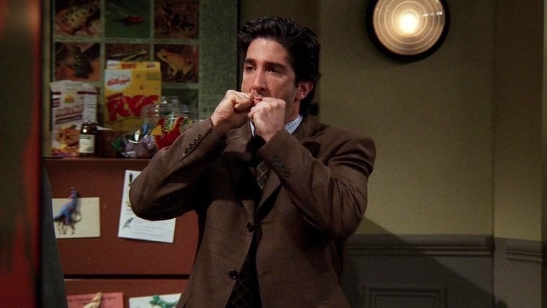 Friends 5. Sezon 9. Bölüm kapak