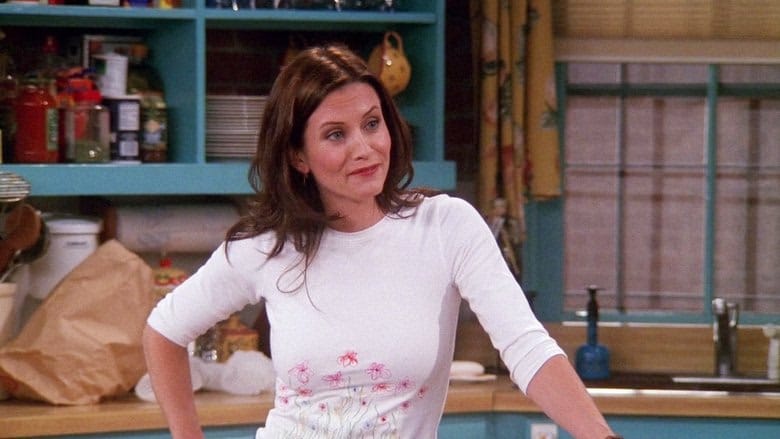 Friends 6. Sezon 22. Bölüm kapak