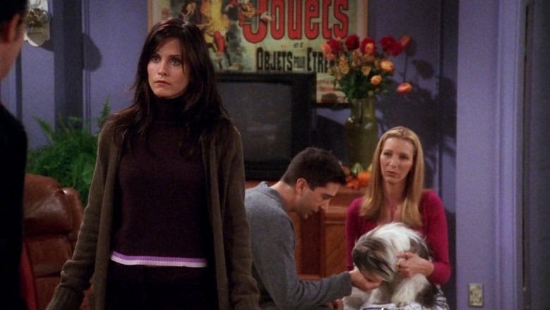 Friends 7. Sezon 8. Bölüm kapak