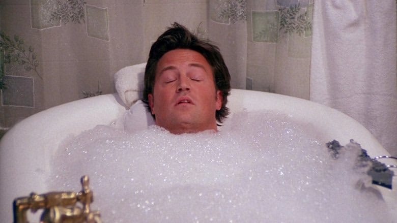 Friends 8. Sezon 13. Bölüm kapak