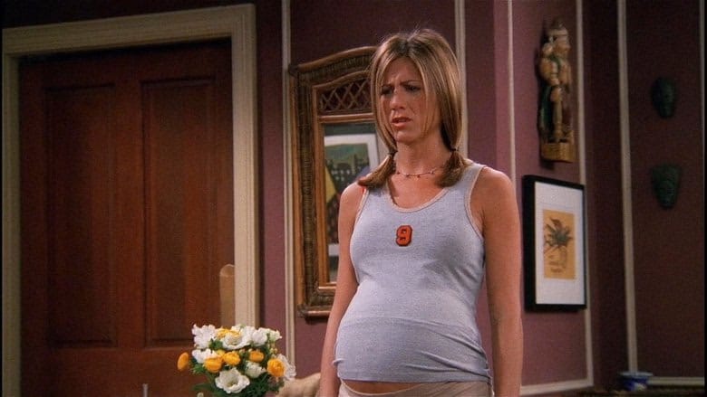 Friends 8. Sezon 22. Bölüm kapak