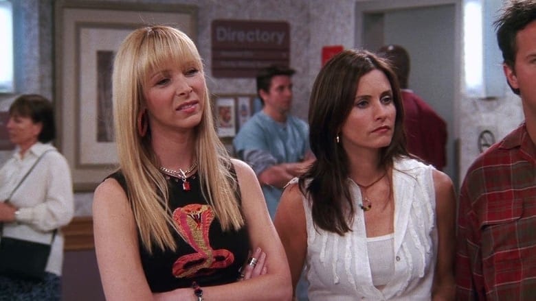 Friends 8. Sezon 23. Bölüm kapak