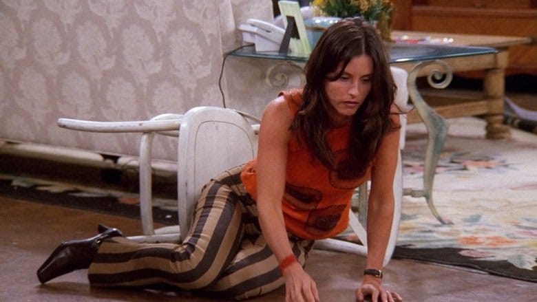 Friends 8. Sezon 7. Bölüm kapak
